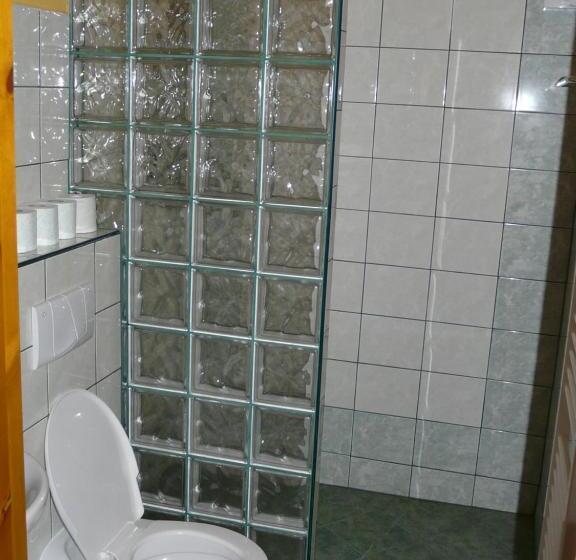 标准间, Wellness Penzion Palice