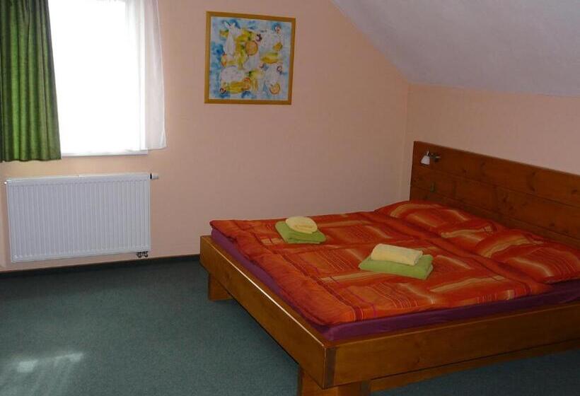 标准间, Wellness Penzion Palice