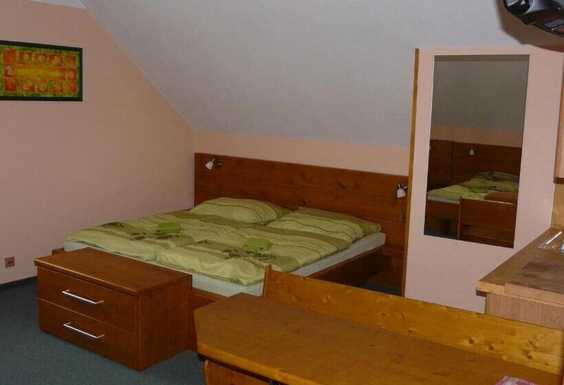 标准间, Wellness Penzion Palice