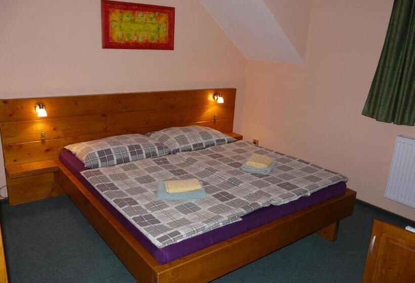 标准间, Wellness Penzion Palice