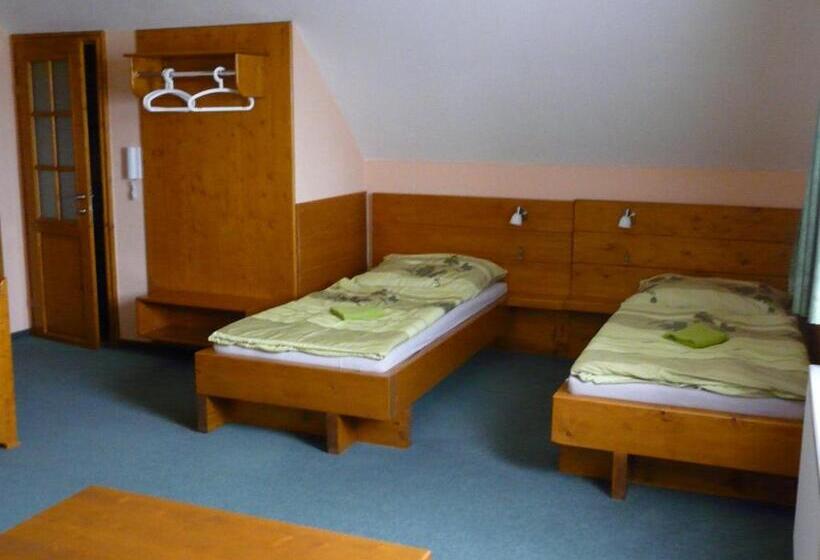 套房, Wellness Penzion Palice