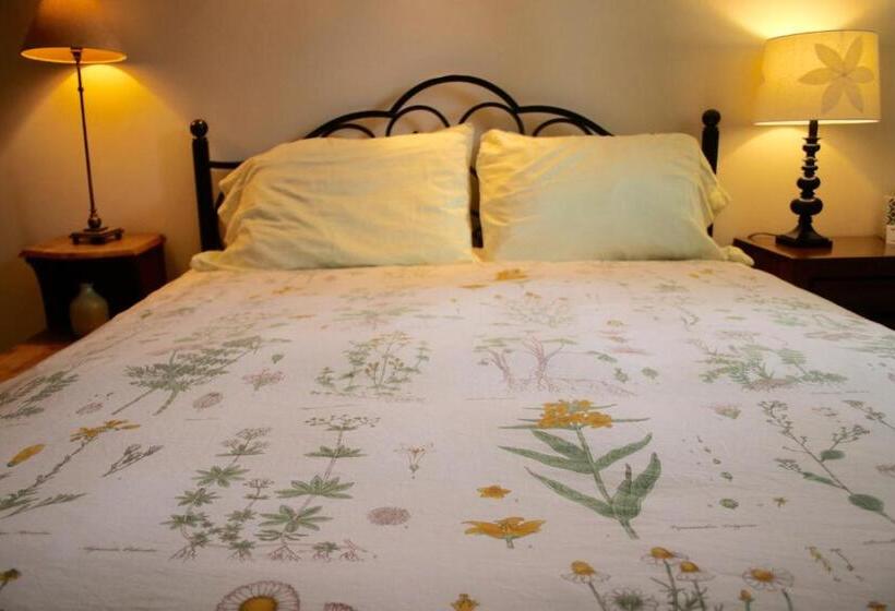 Номер Стандарт, Mancos Inn