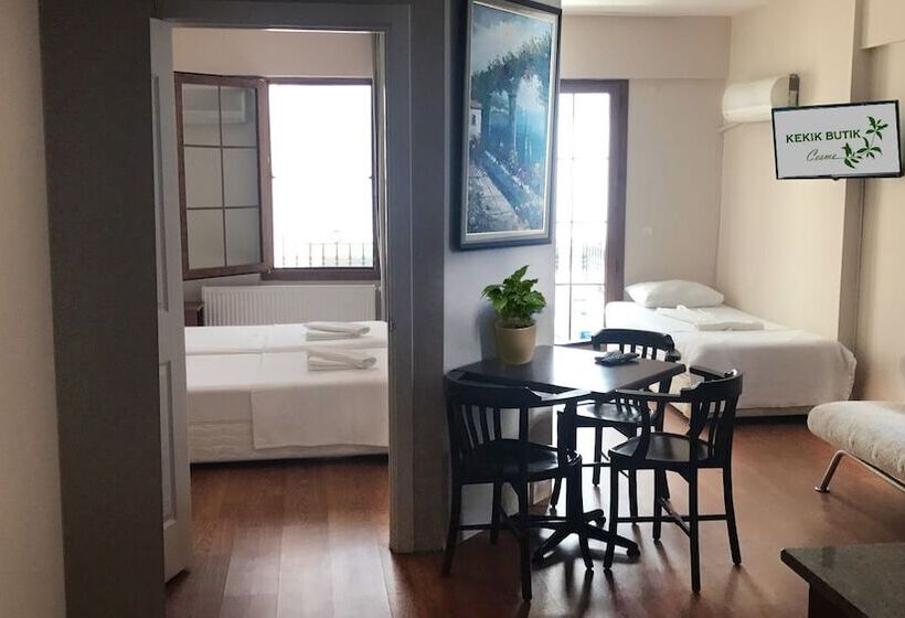 Apartamento 1 Dormitório, Kekik Apart Otel