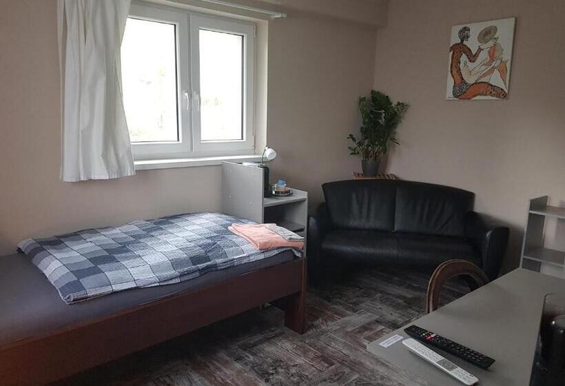 Номер Economy, Bnb Comfort Guesthouse Olten   Lostorf
