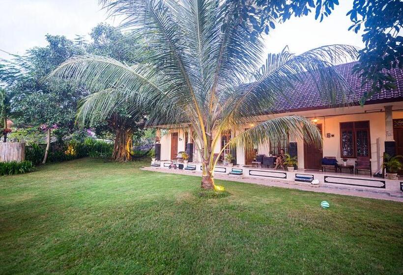 غرفة قياسية مزوَّدة بتراس, The Bali Boarding House