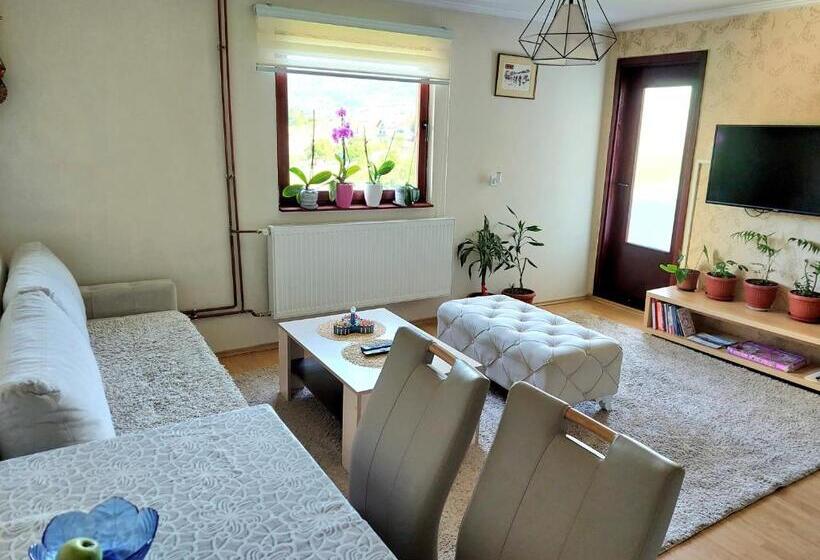 آپارتمان 2 خوابه, Guesthouse Jelena