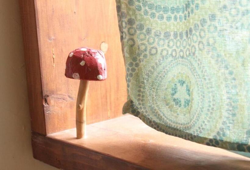 غرفة قياسية مزوَّدة بشُرفة, Katsuo Guest House