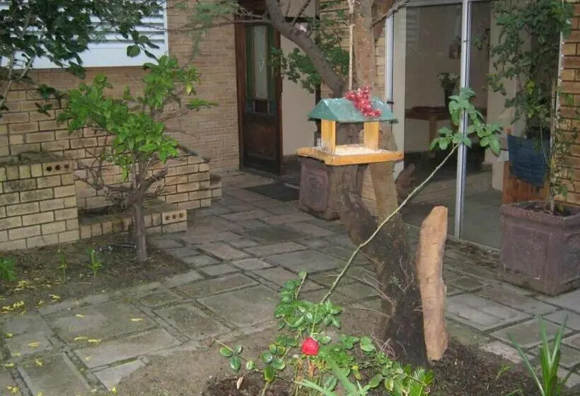 デラックスルーム, Shirleys Place