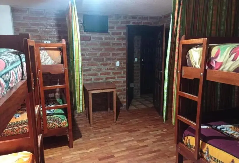 スタンダード4人部屋, Hostal D´mathias