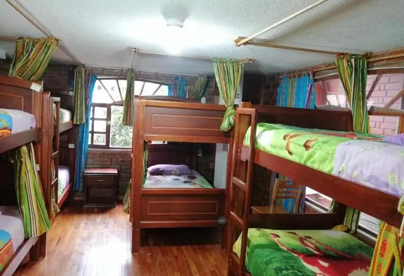 ルームシェアのワンベッド, Hostal D´mathias