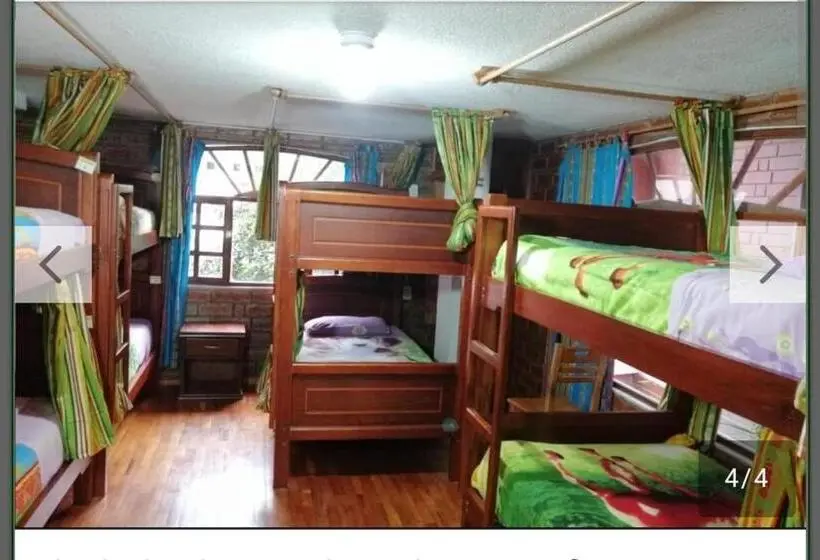ルームシェアのワンベッド, Hostal D´mathias