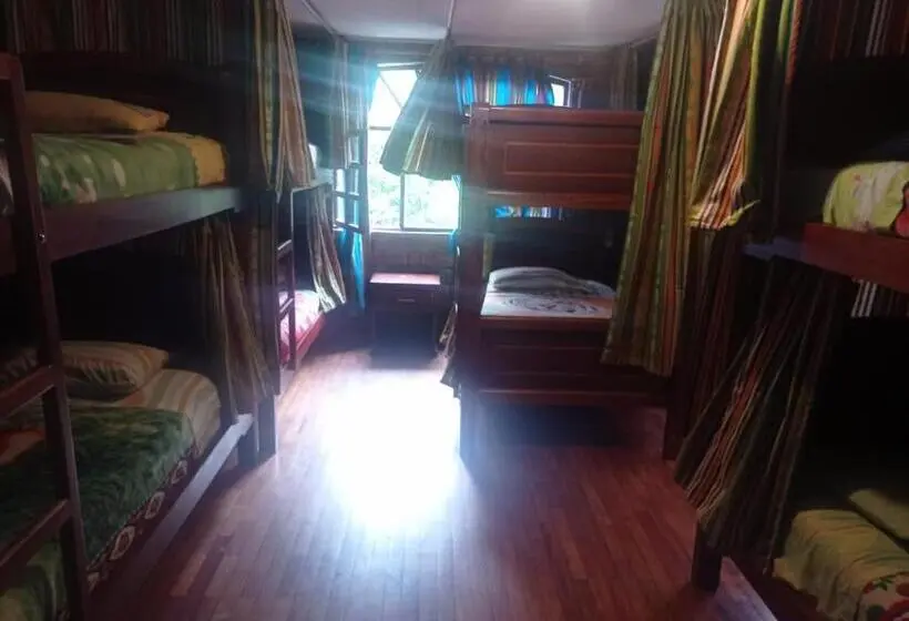 ルームシェアのワンベッド, Hostal D´mathias
