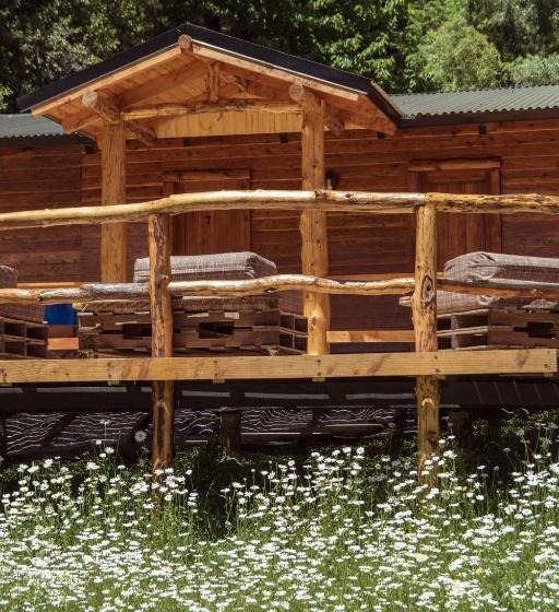 バスルーム共同エコノミー4人部屋, Las Carpitas