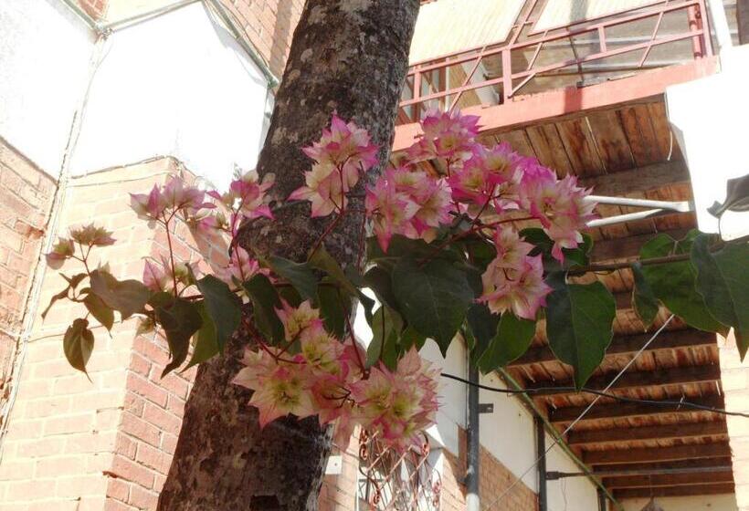 اتاق استاندارد چهار تخته, Three Palms Fianar