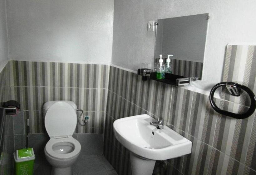 اتاق استاندارد با چشمانداز کوهستان, Three Palms Fianar