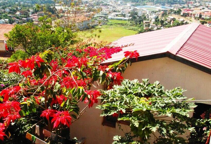 اتاق استاندارد با چشمانداز کوهستان, Three Palms Fianar