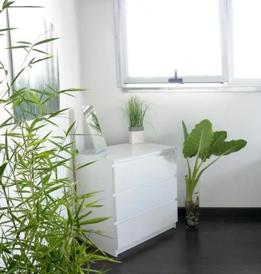 اتاق استاندارد با سرویس بهداشتی مشترک, Zen Retreat City Centre