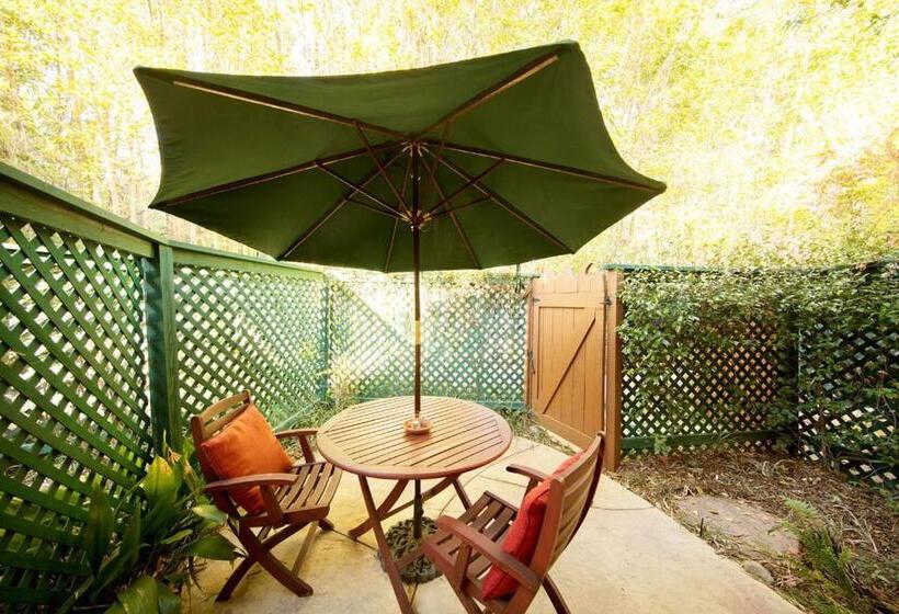 غرفة قياسية سرير كينج, The Emerald Iguana Inn