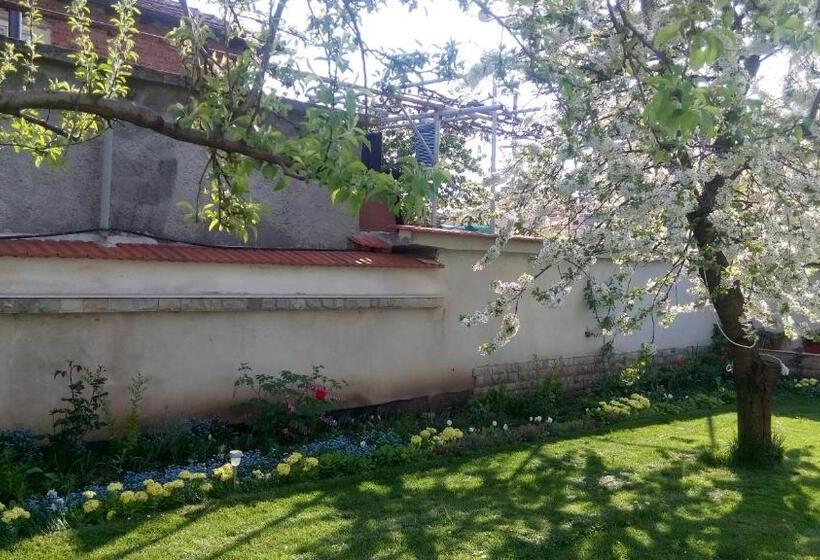 منزل 3 غرف نوم, Bobekova Kashta