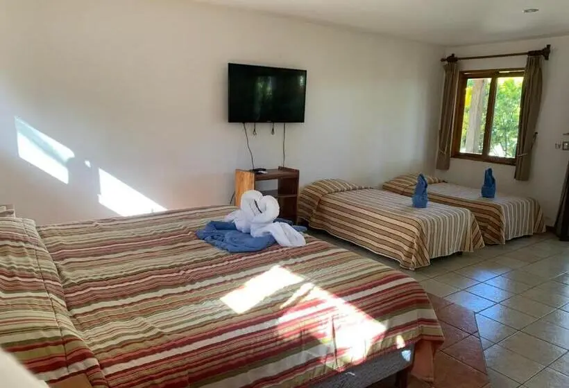 スタンダード4人部屋, Villas Playa Hermosa Beach