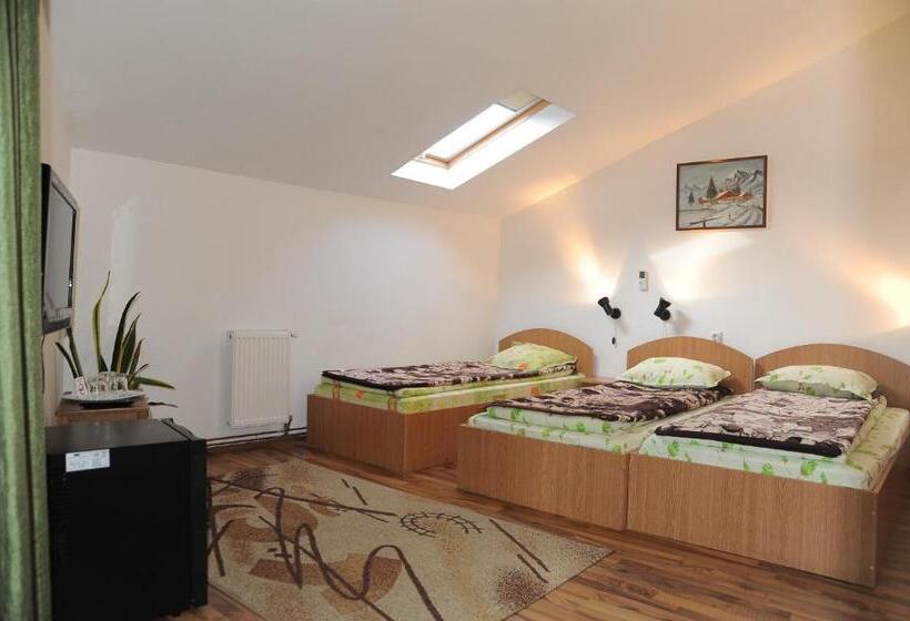 Номер Стандарт Трехместный, Pensiunea Caramida Verde