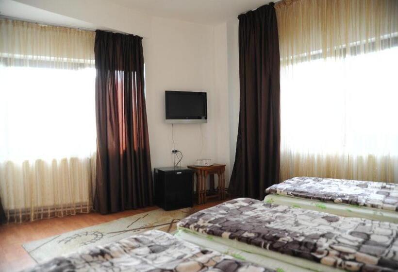 Номер Стандарт Трехместный, Pensiunea Caramida Verde