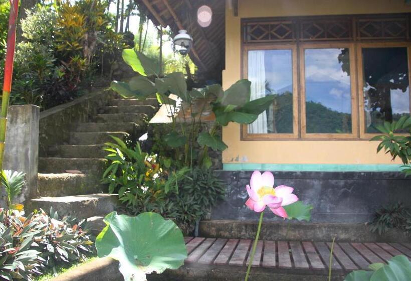 חדר סטנדרט, Bebek Biru