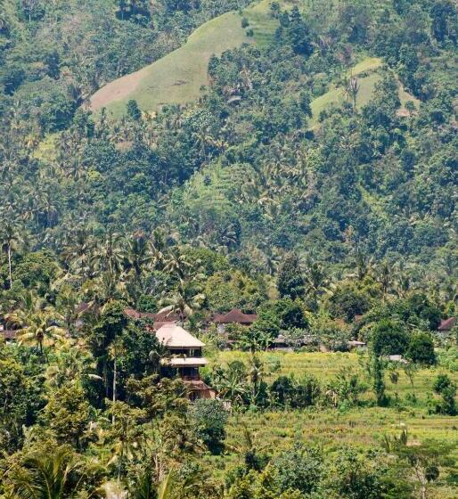 חדר סטנדרט, Bebek Biru