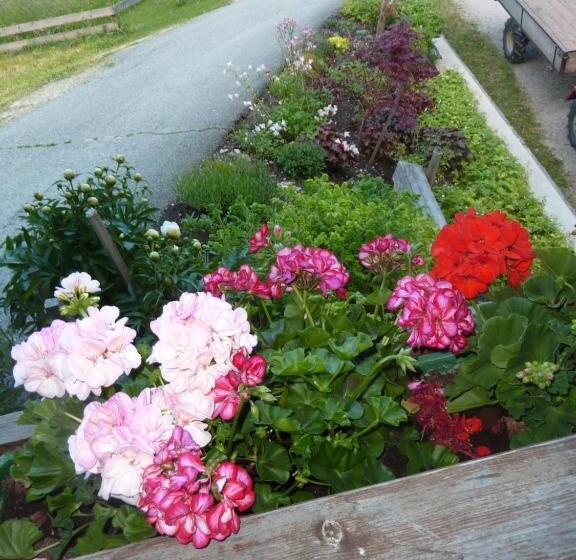 إستديو قياسى مزود بشرفة, Haus Blatthofer