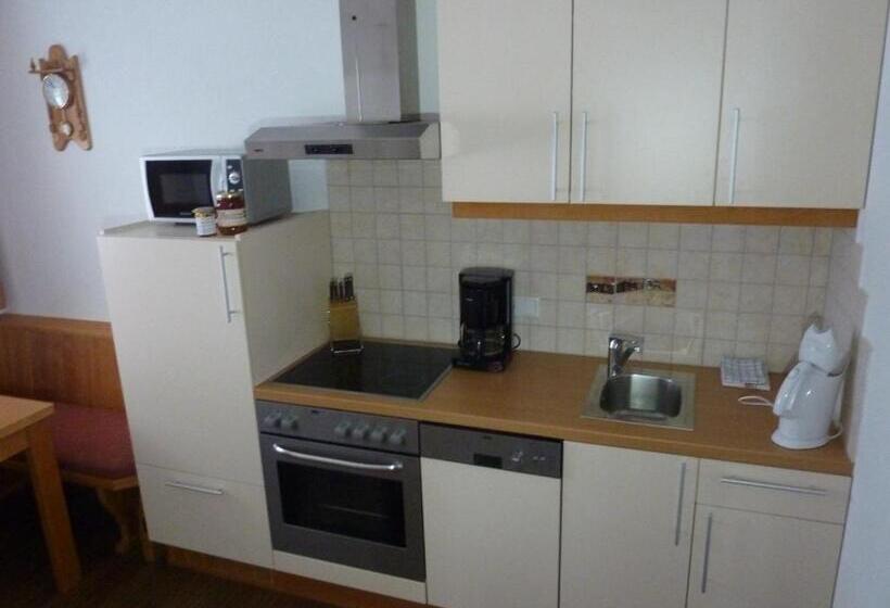 شقة سوبريور غرفة واحدة, Haus Blatthofer