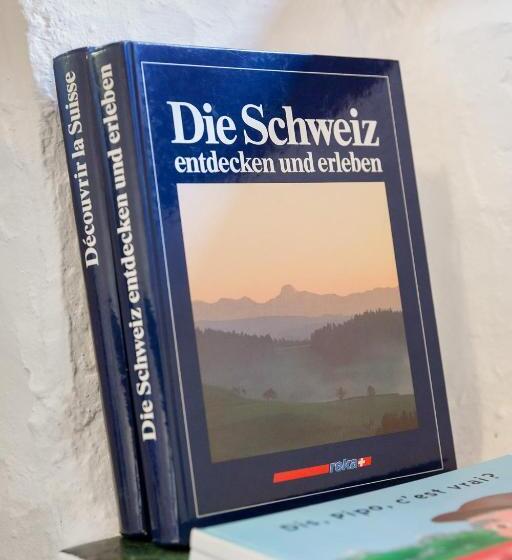 חדר סטודיו סטנדרד, Rustici Della Verzasca Ferien Wohnungen