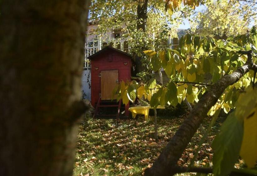 اتاق استاندارد با بالکن, Guest House Zdravets