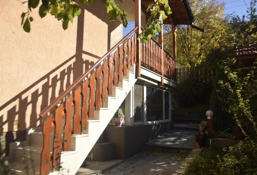 اتاق استاندارد با بالکن, Guest House Zdravets