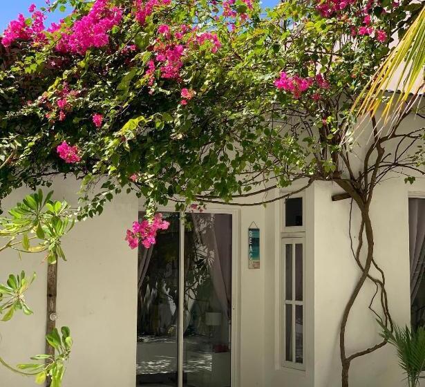 اتاق لوکس با چشمانداز دریا, Kahanbu Ocean View