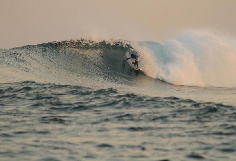 اتاق استاندارد, Kahanbu Ocean View