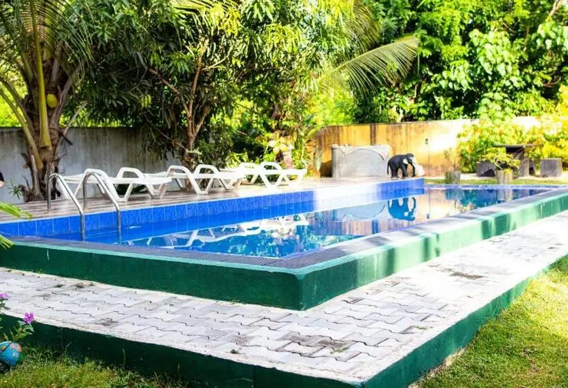 スイート(家族用), Shan Star Weligama
