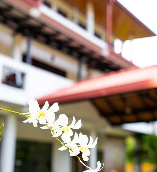 家庭套房, Shan Star Weligama