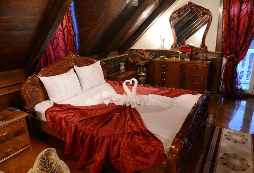 اتاق لوکس, Apartmani Vivaldi Niš