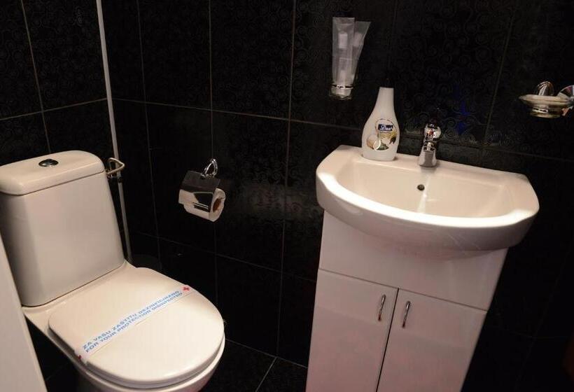 اتاق لوکس, Apartmani Vivaldi Niš