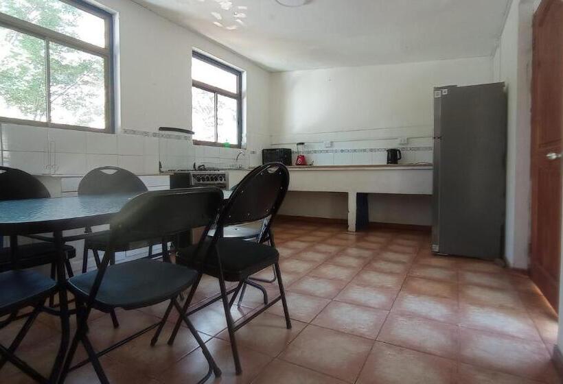 Апартаменты 1 Спальня с Видом, Hostal Los Peñones