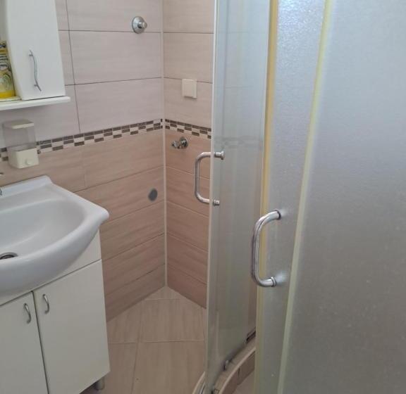 استودیوی استاندارد, Guest House Zoran