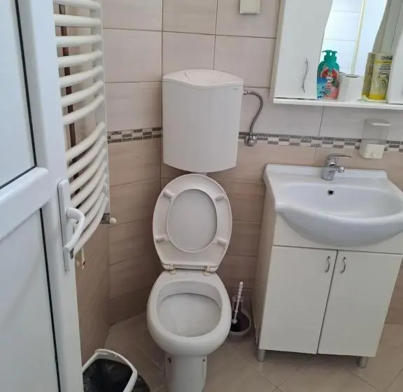 استودیوی استاندارد, Guest House Zoran