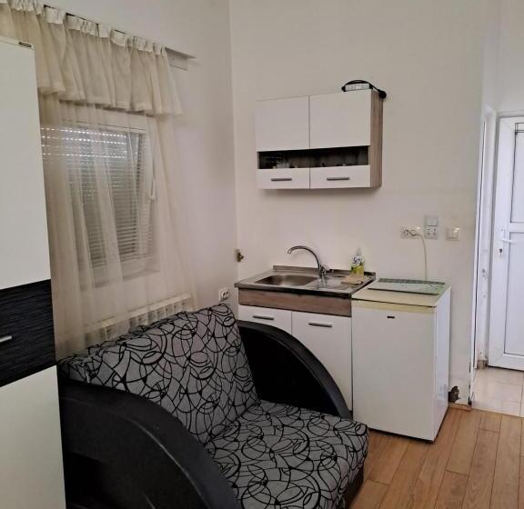 استودیوی استاندارد, Guest House Zoran