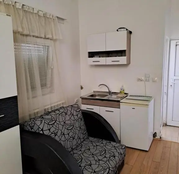 استودیوی استاندارد, Guest House Zoran
