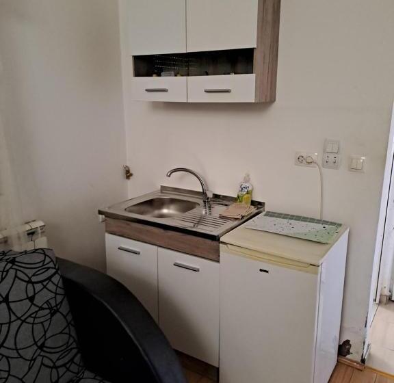 استودیوی استاندارد, Guest House Zoran