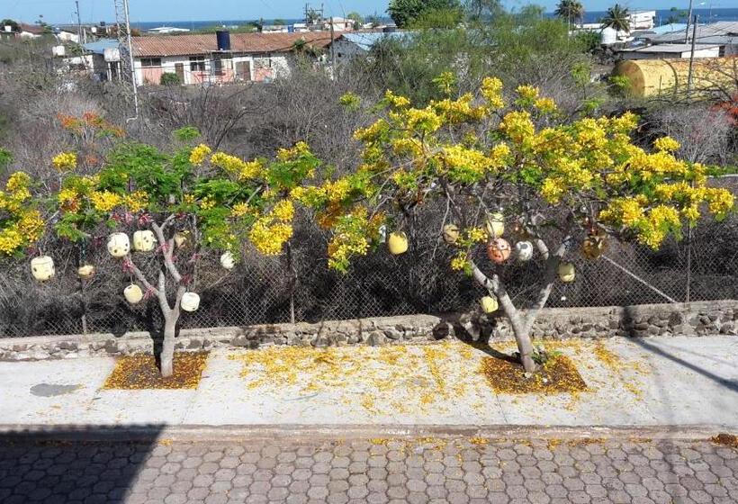 Апартаменты 3 Спальни, Hostal Romy