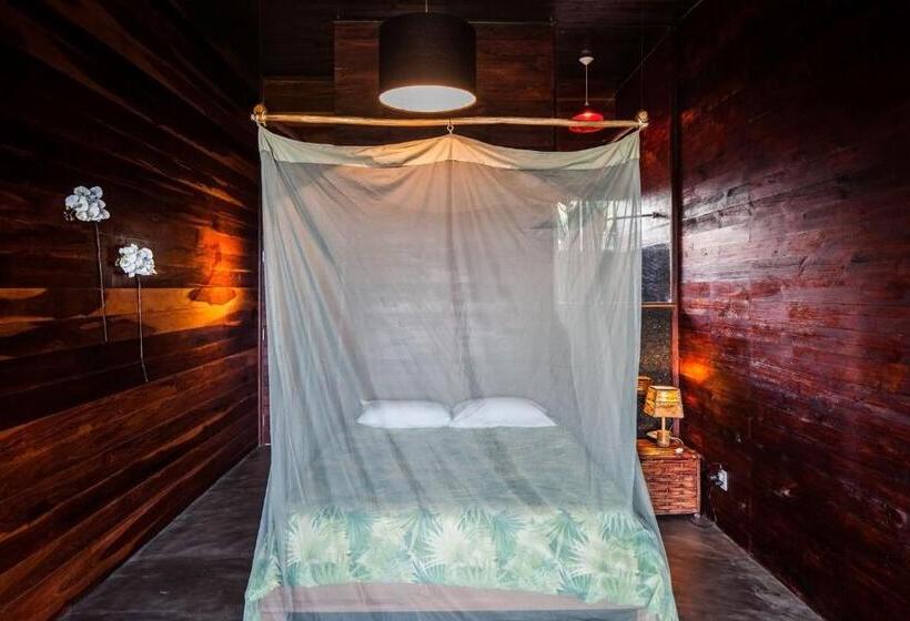 اتاق سوپریور, O Céu De Boipeba