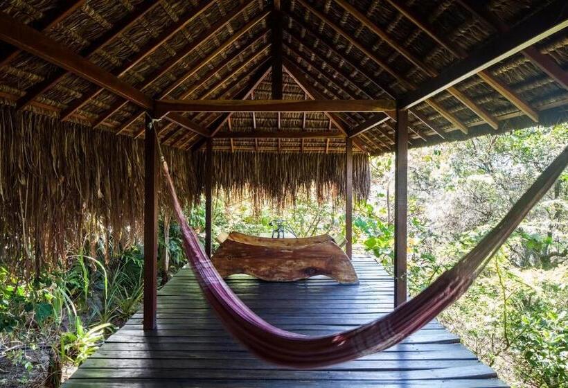 اتاق لوکس, O Céu De Boipeba