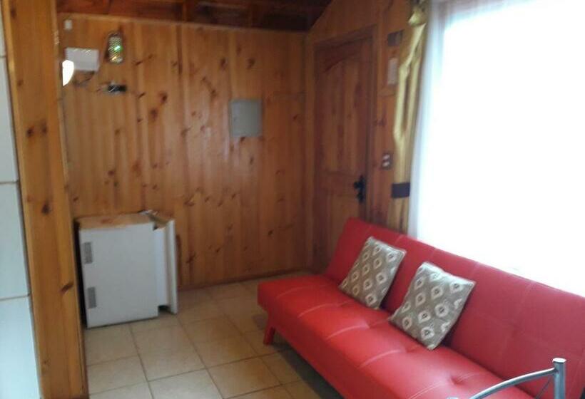 带1个卧室的公寓, Apart Hotel Colonia Königsberg Estacionamiento Deptos Completos Ubicado En El Centro De Valdivia Air