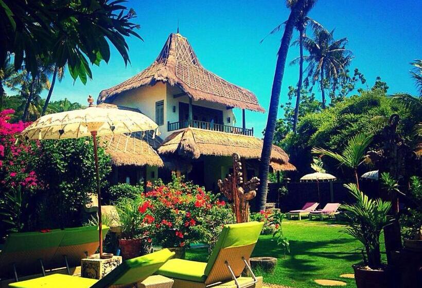 וילה בת 3 חדרי שינה, Life In Amed Beach